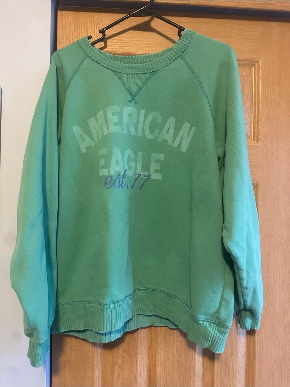 American Eagle Outfitters Mint Green Logo Crewneck Sweatshirt